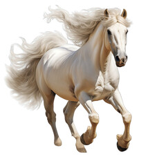 Obraz na płótnie Canvas White Horse Running with Flowing Mane Isolated on Transparent or White Background, PNG