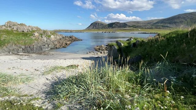 Beautiful Sunny Summer day at the Shores of the Barents Sea near the City of Berlev&aring;g