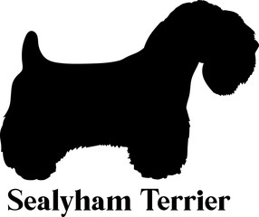  Sealyham Terrier. Dog silhouette dog breeds logo dog monogram logo dog face vector

