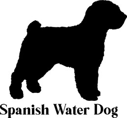  Spanish Water Dog Dog silhouette dog breeds logo dog monogram logo dog face vector
