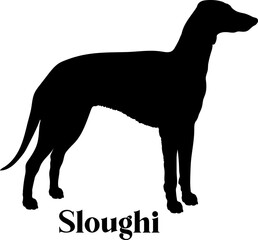 Sloughi Dog silhouette dog breeds logo dog monogram logo dog face vector
