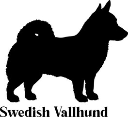  Swedish Vallhund Dog silhouette dog breeds logo dog monogram logo dog face vector

