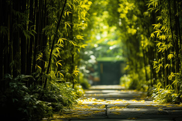 Tropical bamboo forest , Bamboo forest landscape
