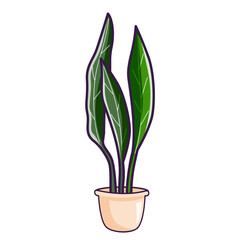 Indoor Potted Plant vector illustration asset element