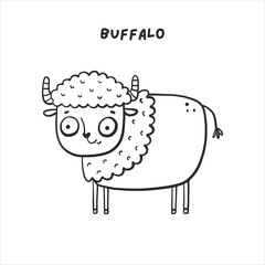 Coloring book safari buffalo vector illustration