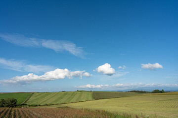 北海道の風景