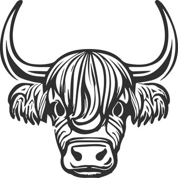 Highland cow drawing clipart vector