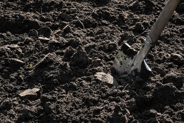 Tilled soil on a homestead plot. A shovel stuck in the ground
