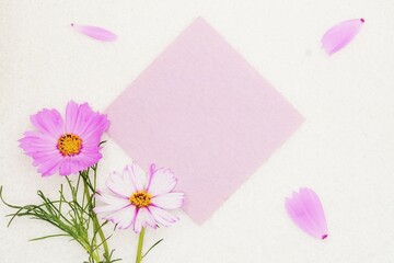 ふわふわな白背景にピンク色のコスモスの花を添えた薄紫色のコメントフレームのモックアップ