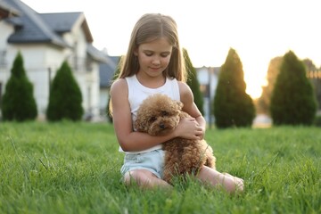 Beautiful girl with cute Maltipoo dog on green lawn in backyard