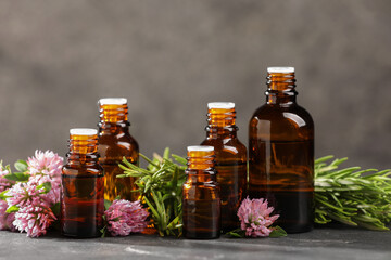 Bottles with essential oils, clover and rosemary on grey textured table, closeup