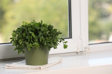 Aromatic parsley growing in pot on window sill. Space for text