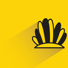 seaweed with shadow on yellow background