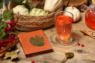 Delicious viburnum tea, book and pumpkins on wooden table. Cozy autumn atmosphere - obrazy, fototapety, plakaty