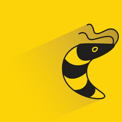 shrimp with shadow on yellow background