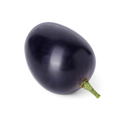 One ripe dark blue grape isolated on white
