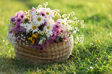 Wicker basket with beautiful wild flowers on green grass outdoors