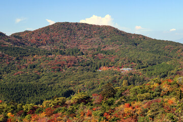 雲仙の紅葉14