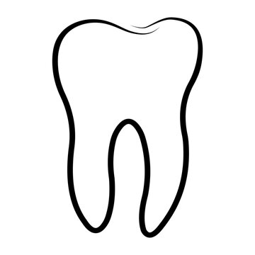 recommend clip art: Molar teeth, dental clinic logo, wisdom tooth outlines template