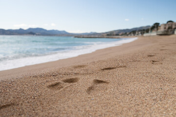 Fototapeta na wymiar Footsteps on a sand beach of South France during spring with sea waves