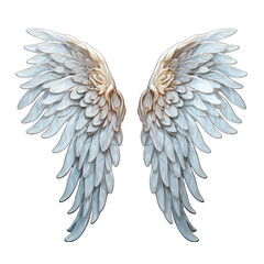 Pair of Angel Wings Isolated on Transparent or White Background, PNG