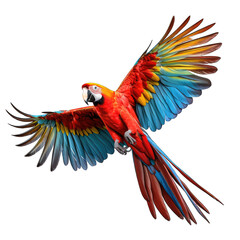 Fototapeta premium Flying Macaw Parrot Isolated on Transparent or White Background, PNG