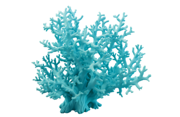 Blue coral cut out
