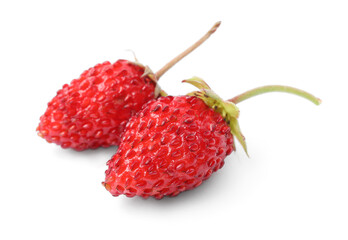 Ripe red wild strawberries isolated on white