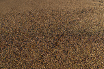 Fototapeta na wymiar Macro photo of sand on the beach