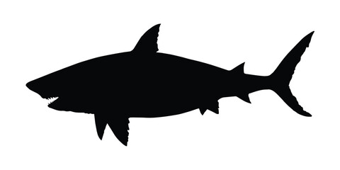 Shark Silhouette. Shark Vector illustration.