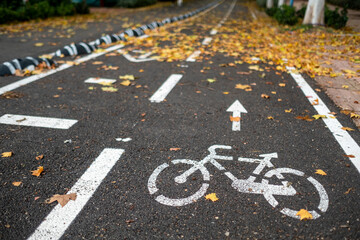 general view with detail of bike lane in the city with dry leaves.