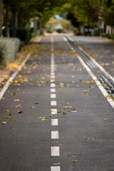 general view with detail of bike lane in the city with dry leaves.