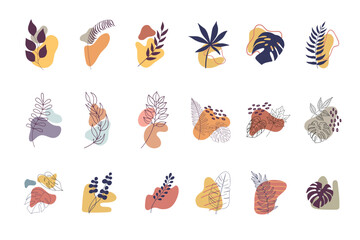 Set of flower abstract shape with leaves ornaments