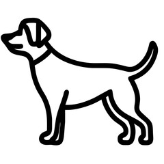 Obraz premium Dog