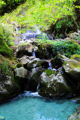 森の中の小さな滝