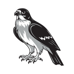 Vector illustration of a falcon on a white background