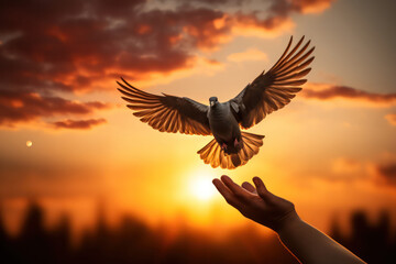 "Symbol of Freedom, Hands Releasing Dove into the Air"