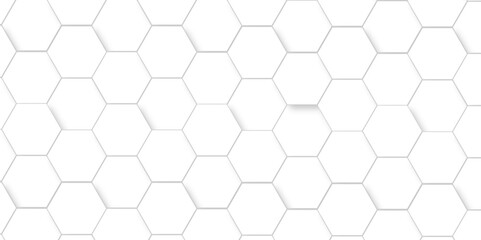 White Hexagonal Background. Luxury honeycomb grid White Pattern. Vector Illustration. 3D Futuristic abstract honeycomb mosaic white background. geometric mesh cell texture.