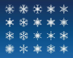 Fototapeta na wymiar Snow flake icon vector illustration. Set of a snowflake on isolated background. Winter sign concept.