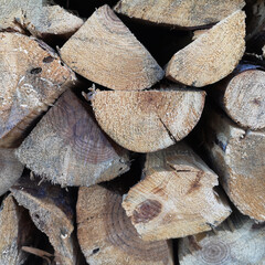 pieces of dry wood for burning and heating-
