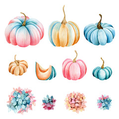 Set of watercolor illustrations of pumpkins, hydrangeas. Bright, blue, pink, orange pumpkins, hydrangea bouquets. Flowers, pumpkins on a white background. Drawings for cards, stickers, scrapbooking.