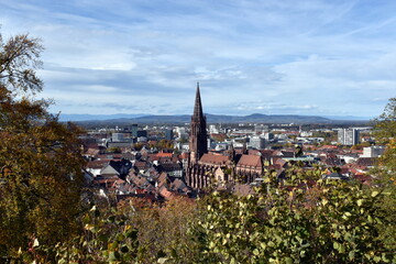Fototapeta na wymiar Blick aufs Freiburger Münster im Herbst