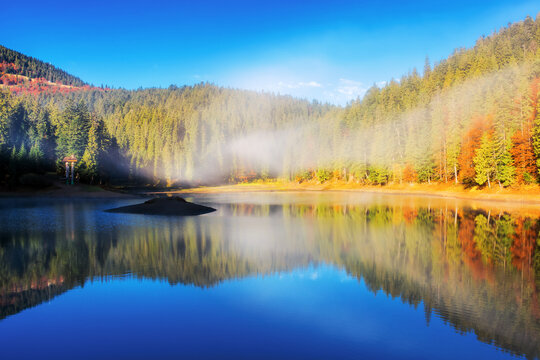 sunny landscape with lake in autumn. fog above the water surface. colorful scenery with sky and trees reflection