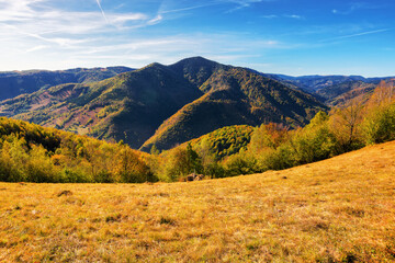 grassy meadows and forested hills in autumn. beautiful carpathian mountain landscape of apuseni...
