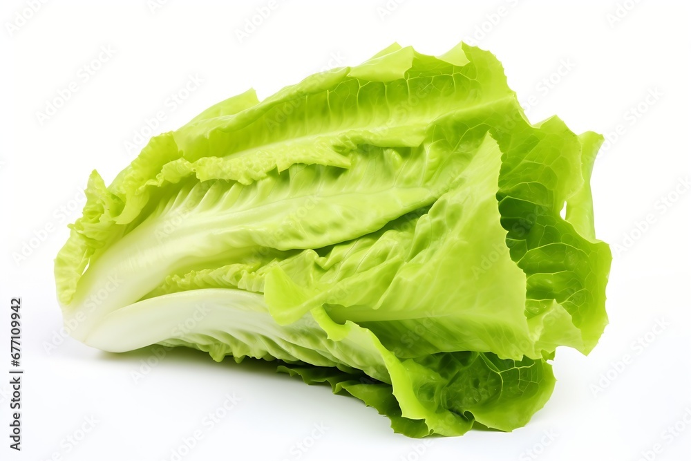 Aufkleber generative ai : fresh red and green lettuce isolated on white background.