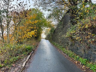 Fototapeta premium Narrow steep country lane, with a high dry stone wall, wild plants and trees near, Godley Branch Road, Halifax, UK