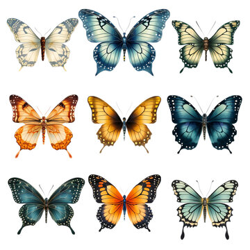 collection of butterflies, PNG