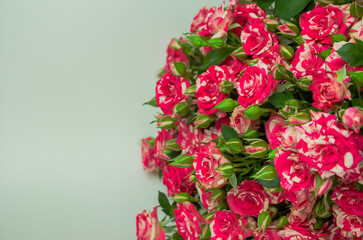 Red Little Roses With Writing Leaf, Greeting Card