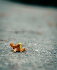Withered Flower down the road