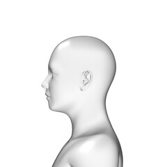 3d male human head, man body
